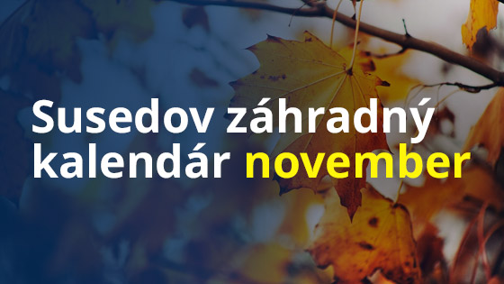 susedov-kalendar-november